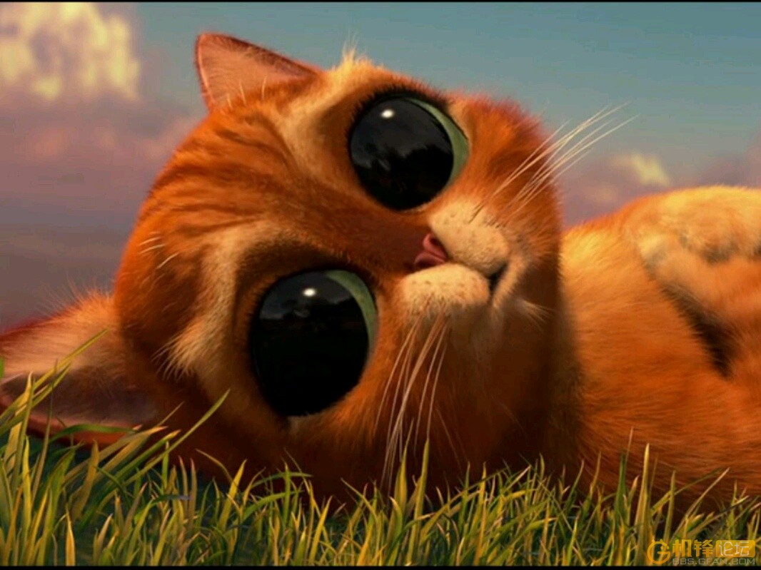 穿靴子的猫(美国2011年克里斯·米勒导演动画电影)