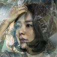 wanted(2016年韩国SBS月火剧)