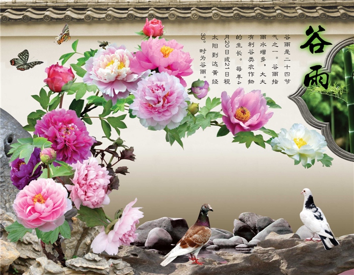 穀雨 穀雨