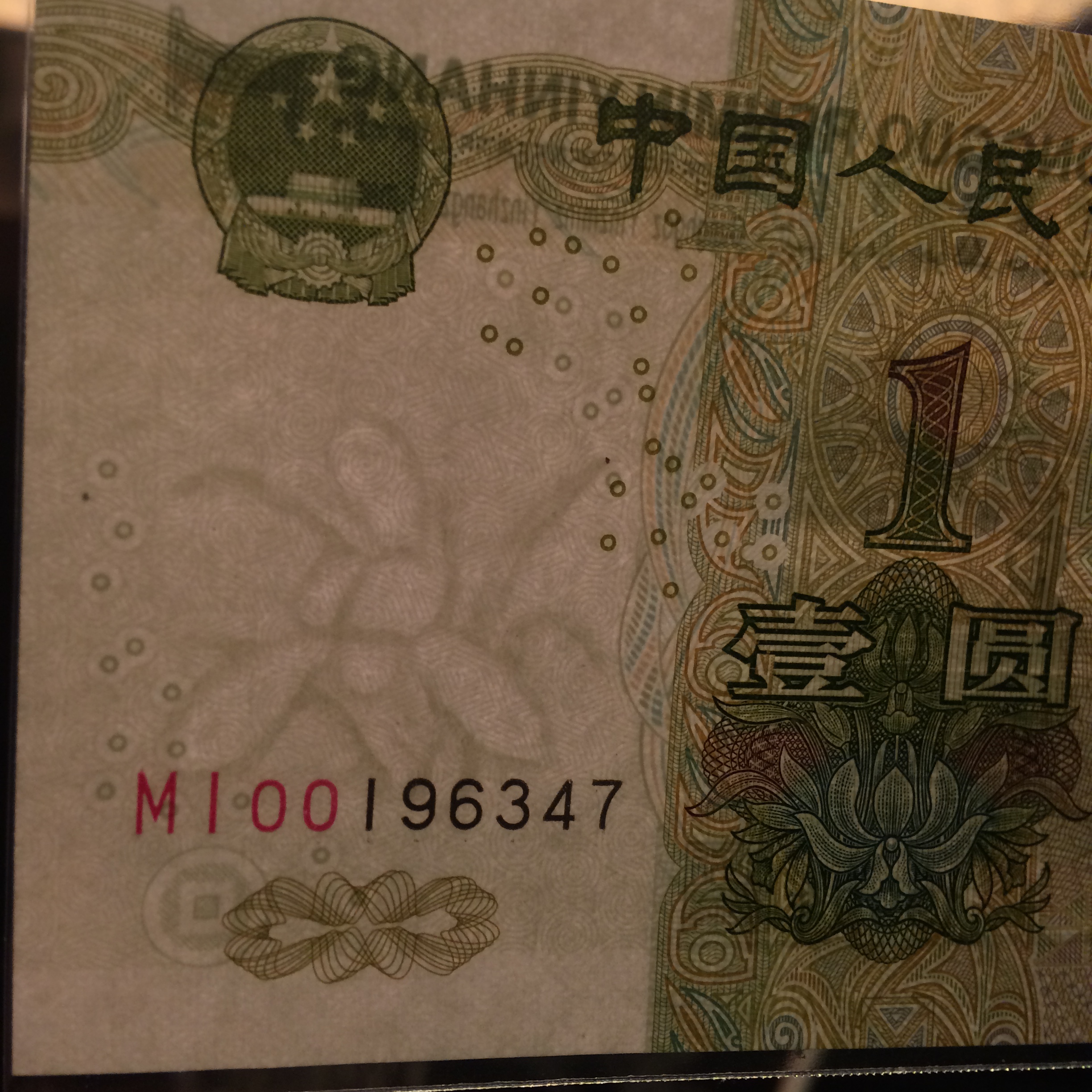 大叶兰MI补号 大叶兰MI补号