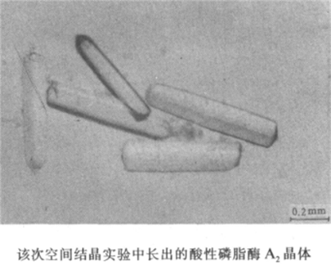 空间蛋白质晶体生长