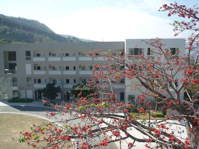 总发乡中心学校 总发乡中心学校