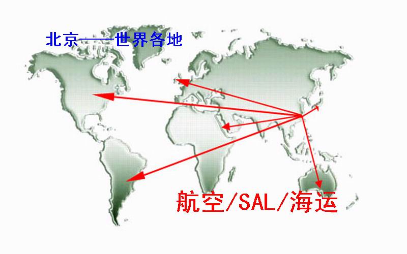 SAL(中国邮政大包裹国际物流服务)