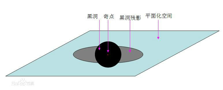 二维化力场展开