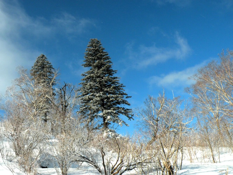 亚布力滑雪旅游度假区风景图片 亚布力滑雪旅游度假区风景图片