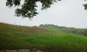 山清水秀 山清水秀