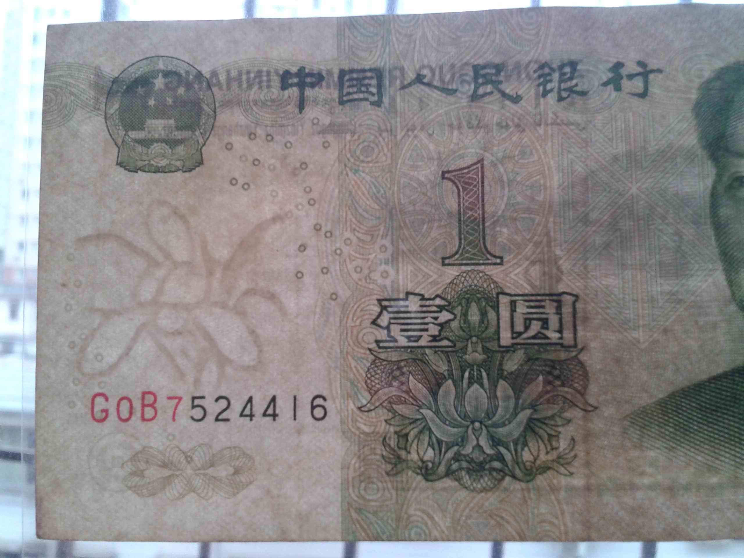 三冠大叶兰 稀冠G0B实物图 三冠大叶兰 稀冠G0B实物图