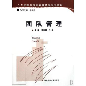 人力资源与组织管理精品系列教材·团队管理