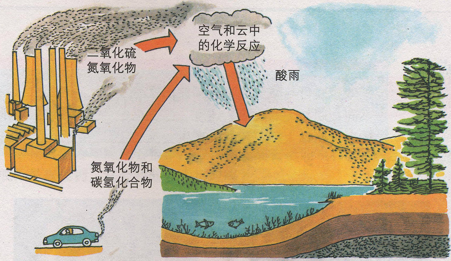 二氧化硫 二氧化硫