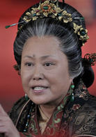 穆桂英挂帅(2011年宫晓东导演电视剧)