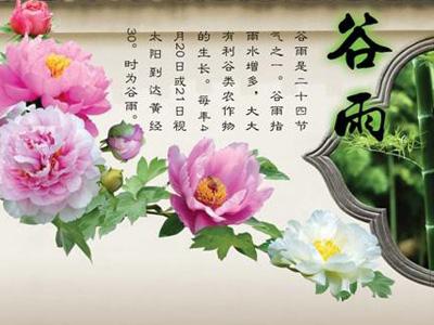 穀雨 穀雨