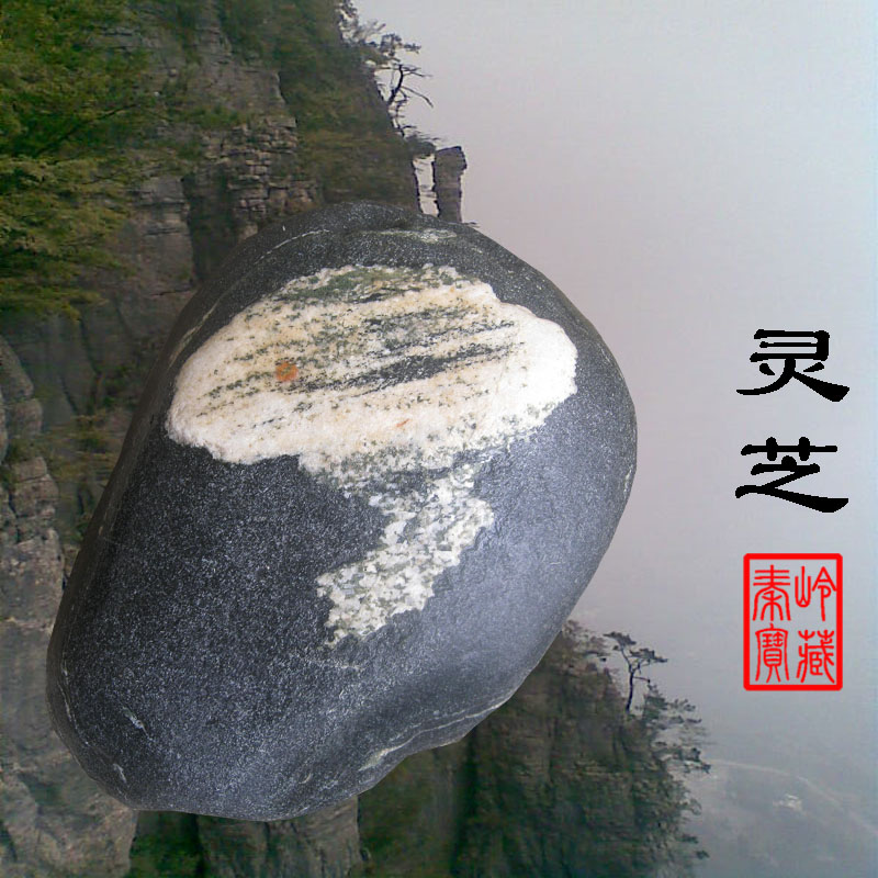 象形石 灵芝