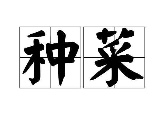种菜