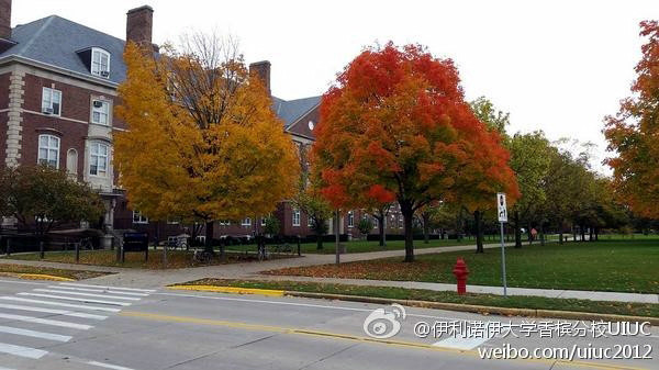 伊利诺伊大学厄巴纳―香槟分校
