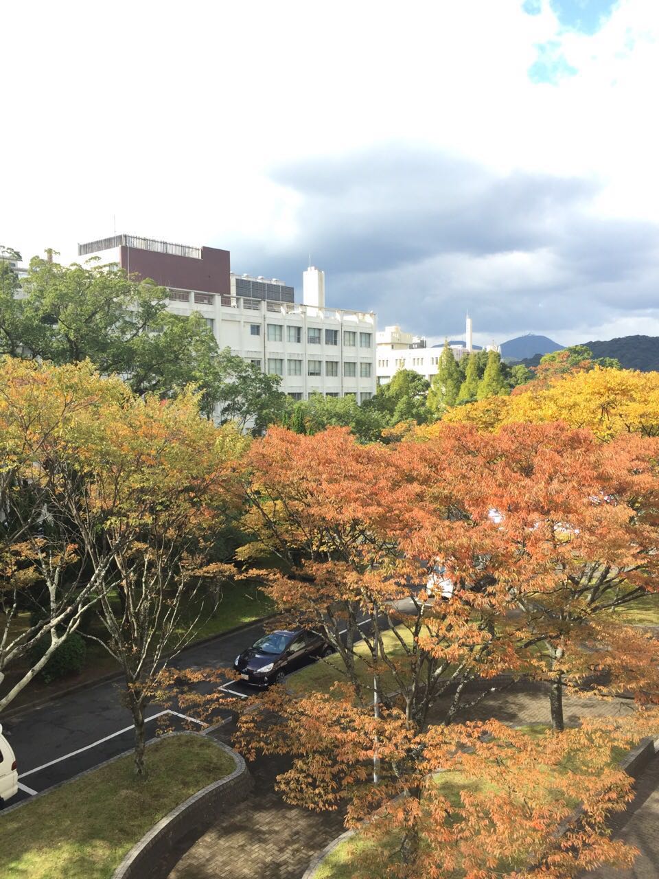 北方校区冬景 北方校区冬景