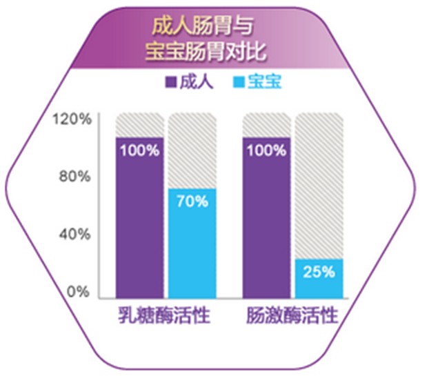 肠胃对比