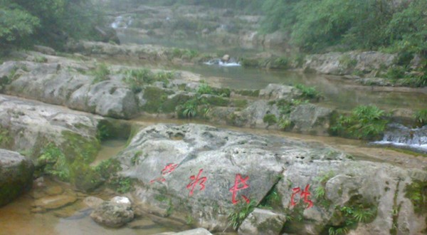 巨鱼坊 巨鱼坊