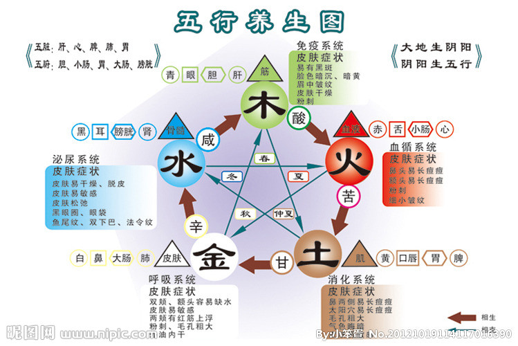 五行养生 五行养生