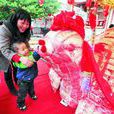 乞龟 乞龟
