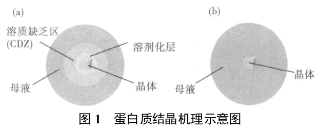 空间蛋白质晶体生长
