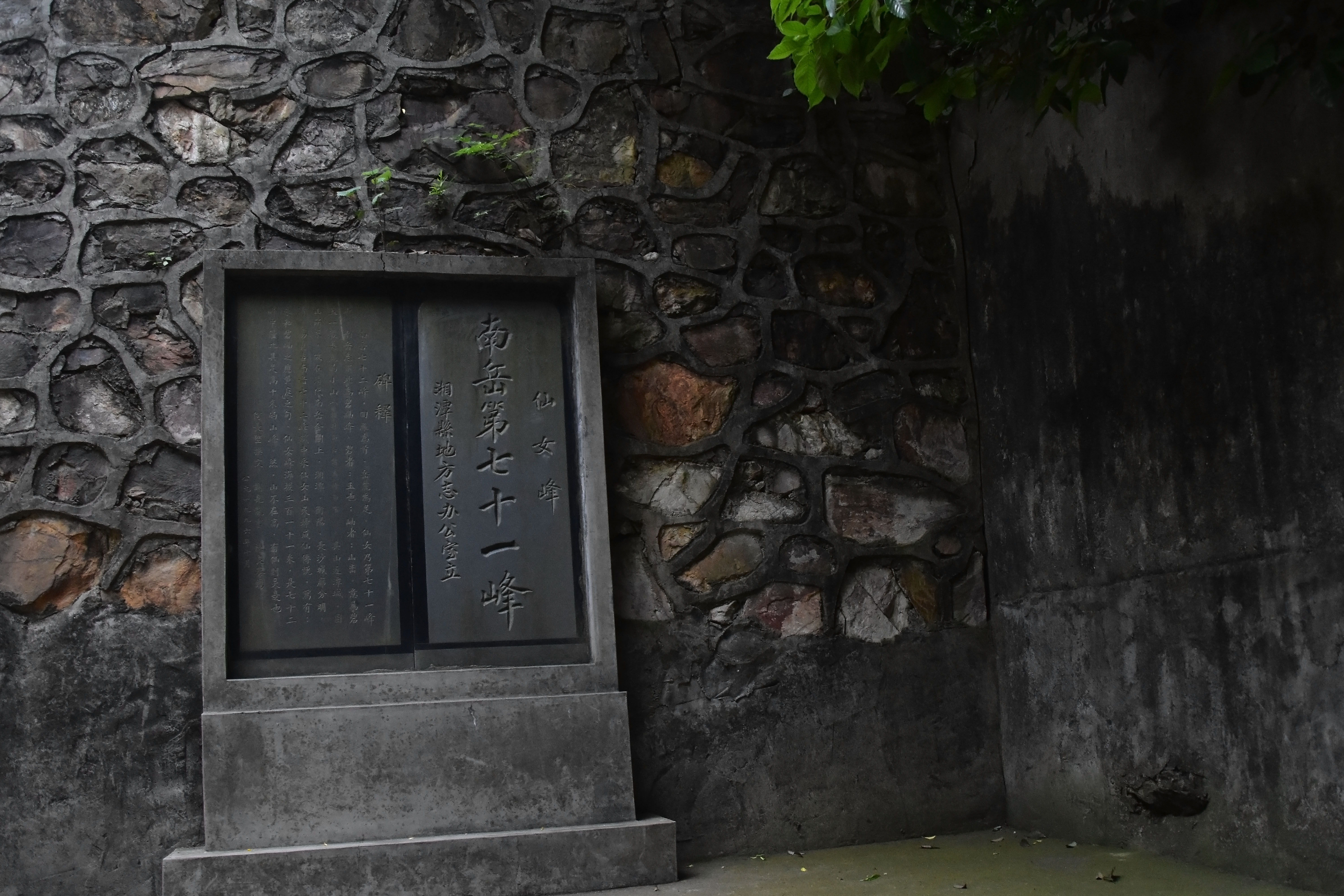仙女山景区 仙女山景区