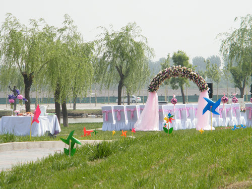 柳岸 柳岸