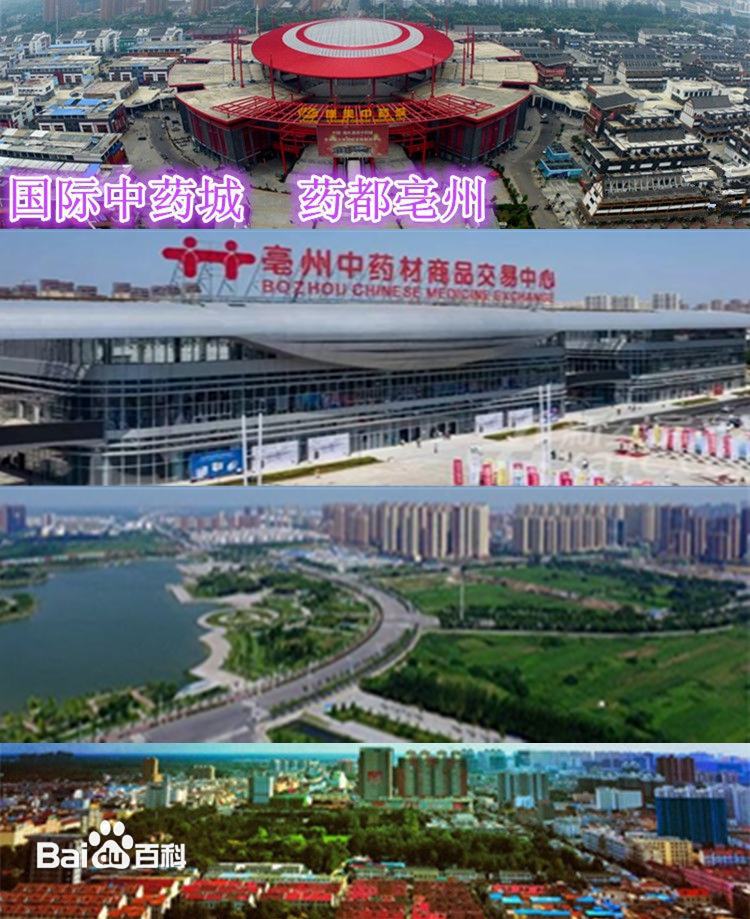 国际中药城 药都亳州
