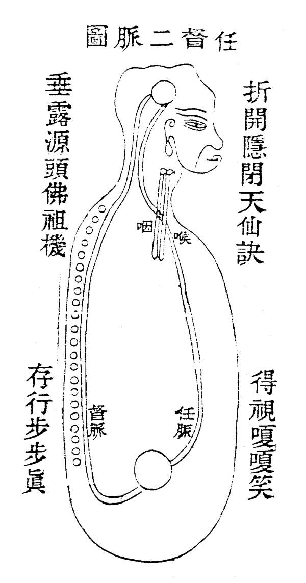任督二脉 任督二脉