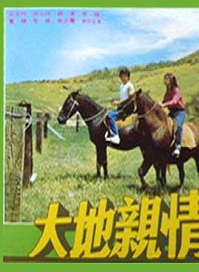 秦汉(台湾影视演员)