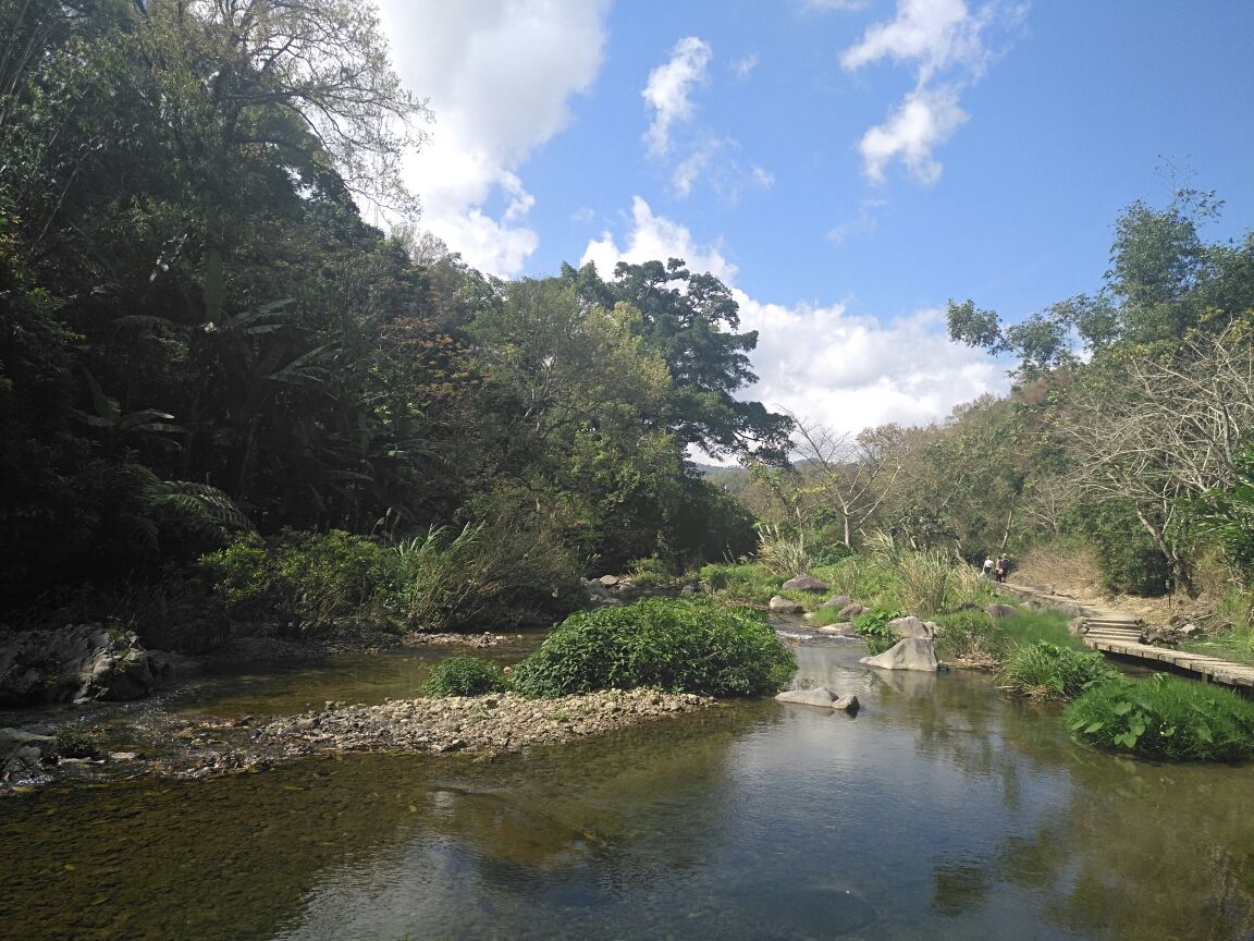 五指山水满河热带雨林风景区