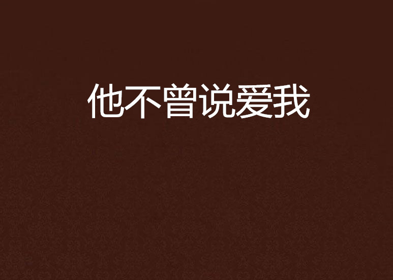 他不曾说爱我 他不曾说爱我