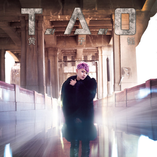 T.A.O(黄子韬个人首张数字迷你专辑) T.A.O(黄子韬个人首张数字迷你专辑)