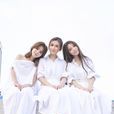 S.H.E(SHE（台湾女子流行演唱团体）)