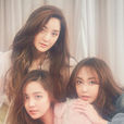 SES(S.E.S)