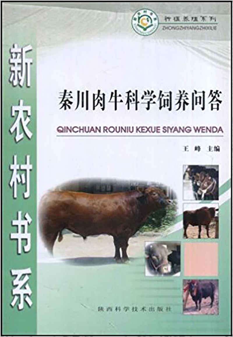 秦川肉牛科学饲养问答 秦川肉牛科学饲养问答