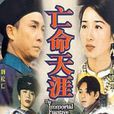 亡命天涯(1996年梁本熙执导电视剧)