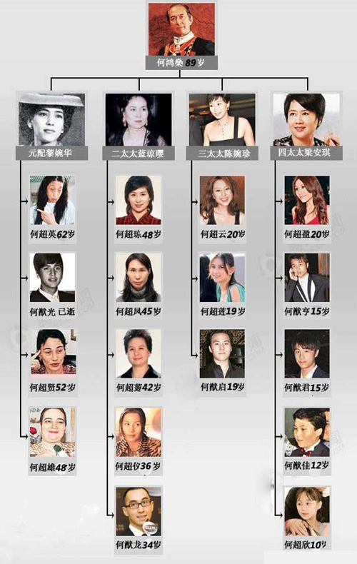 何启东家族 何启东家族