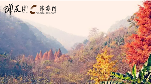 九华山 九华山