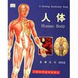 人体(医学名词)