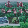 五指山森林公园 五指山森林公园