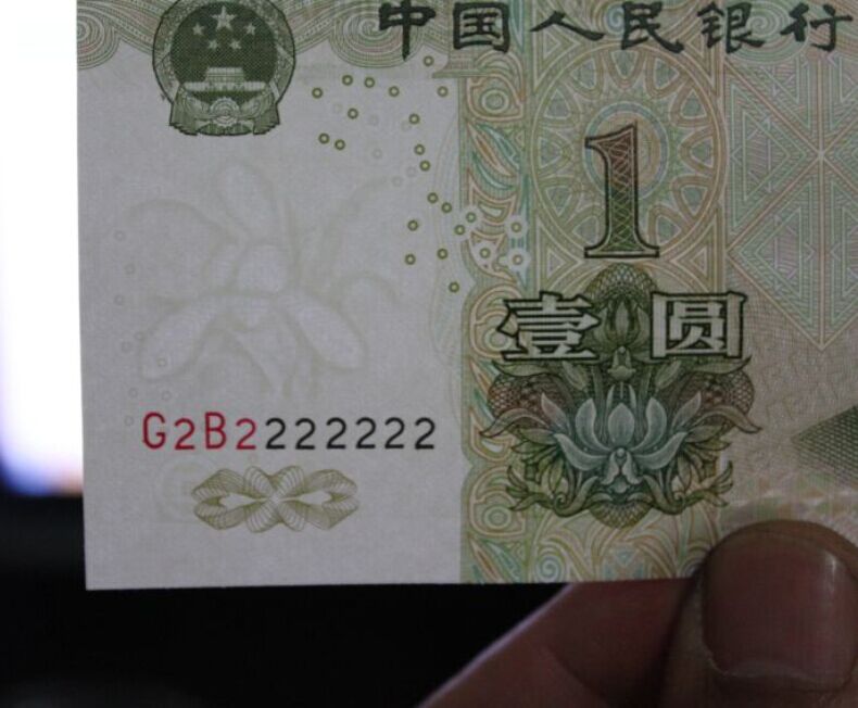 三冠大叶兰 八同号G2B2222222 三冠大叶兰 八同号G2B2222222