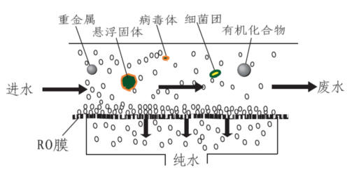 RO纯水机