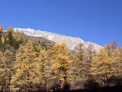 稻城县 稻城县
