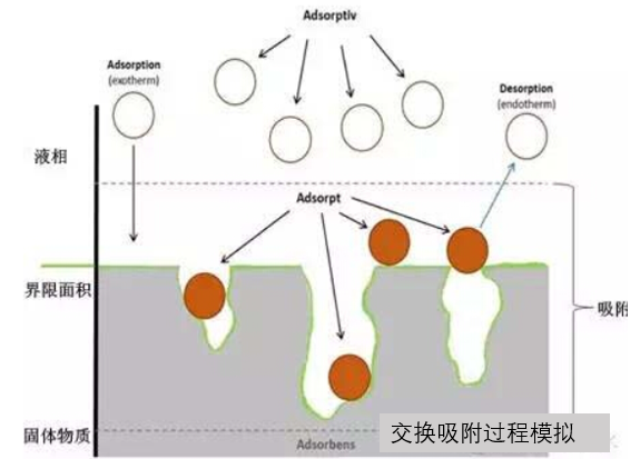交换吸附