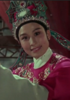 五女拜寿(1984年陆建华、于中效执导戏曲片)
