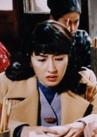 亡命天涯(1996年梁本熙执导电视剧)