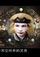 仙剑奇侠传三(2009年李国立执导电视剧)
