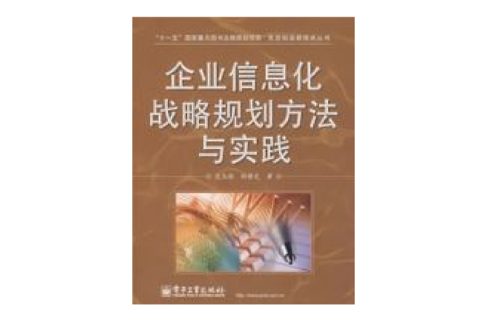 企业信息化战略规划方法与实践