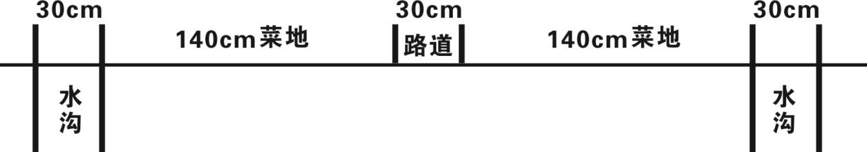 图一大田开沟作畦示意图