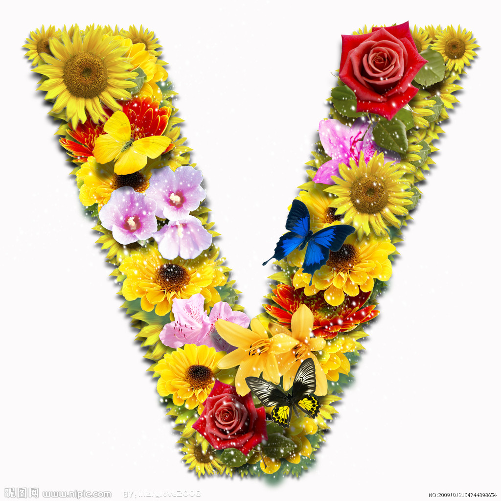 字母V 字母V